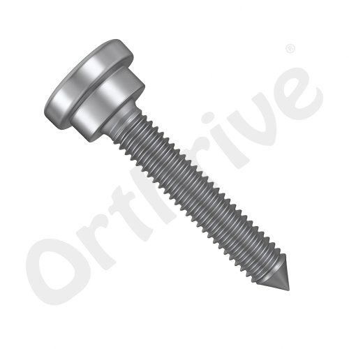 Adult DHS Screw (with compression Screw)