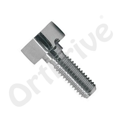 Cannulated Bolt Fixation Point
