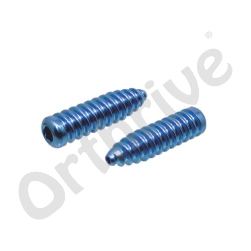 Interference Screw