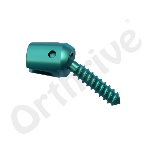 Mini Polyaxial Screw Angled
