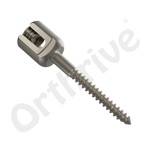 Mini Polyaxial Screw Long Saft