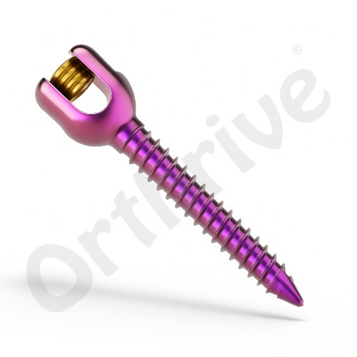 Monoaxial Screw Single Lock 6.0mm