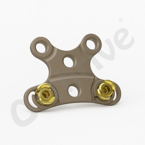 OCCIPITAL PLATE Occipital Plate
