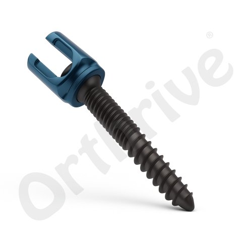 Polyaxial Dual Thread Screw 6.5mm