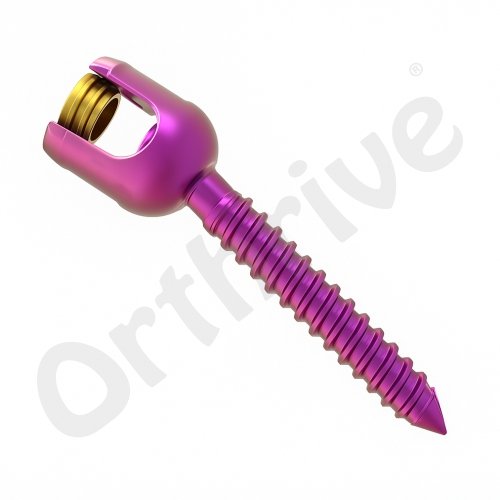 Polyaxial Screw Single Lock 6.0mm