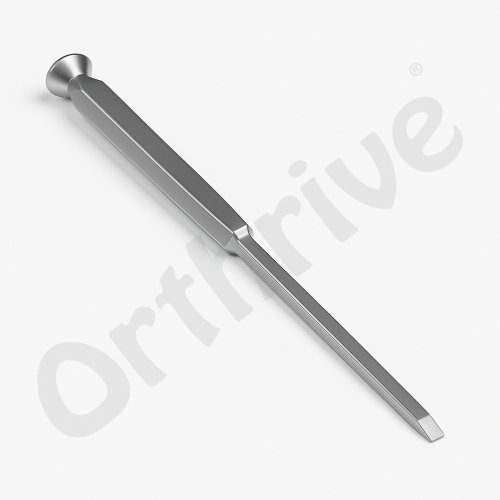 Chisel With SS Handle