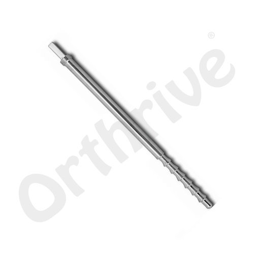 Sacral Rod with Six Nuts
