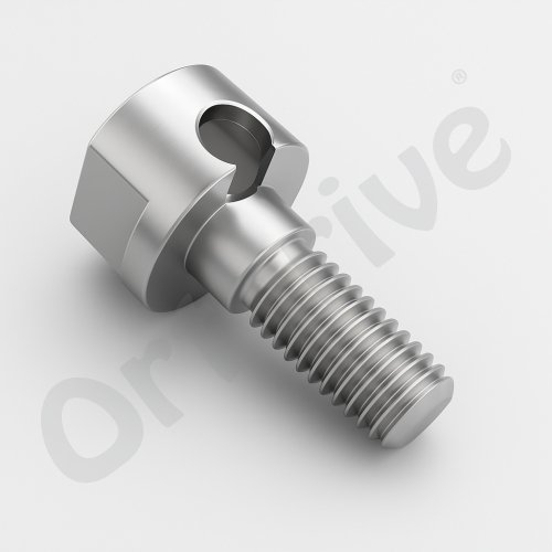 Schanz Pin Fixation Bolt